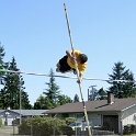 2014 senior games 137